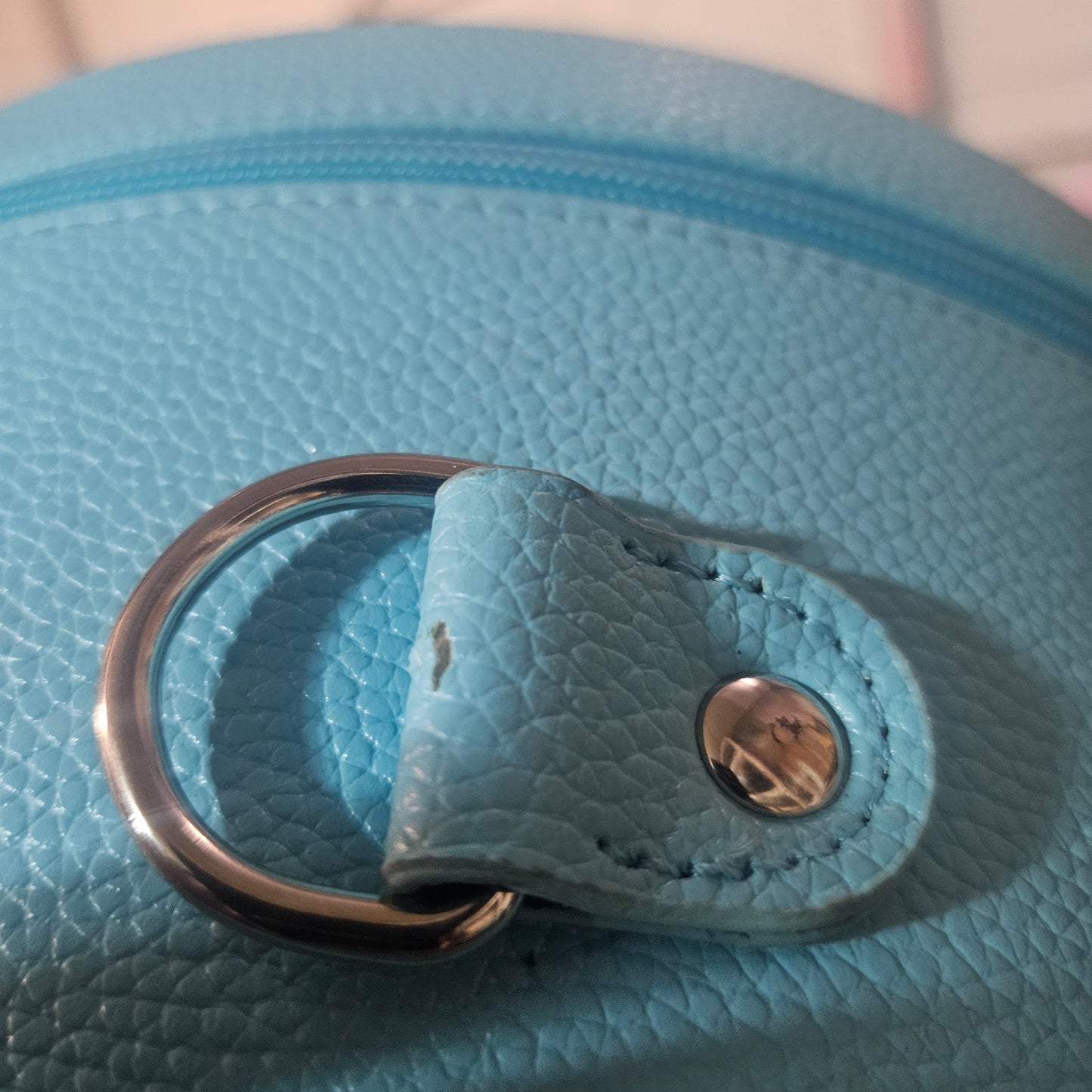 As Is Sample Sisters CollectEar Ear Carrier Travel Case