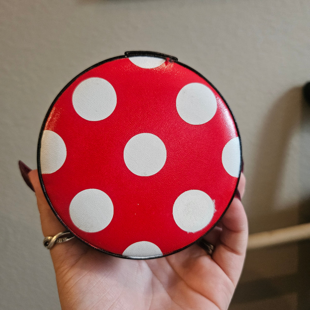 Sample Classic Polka Dot Jewelry Case