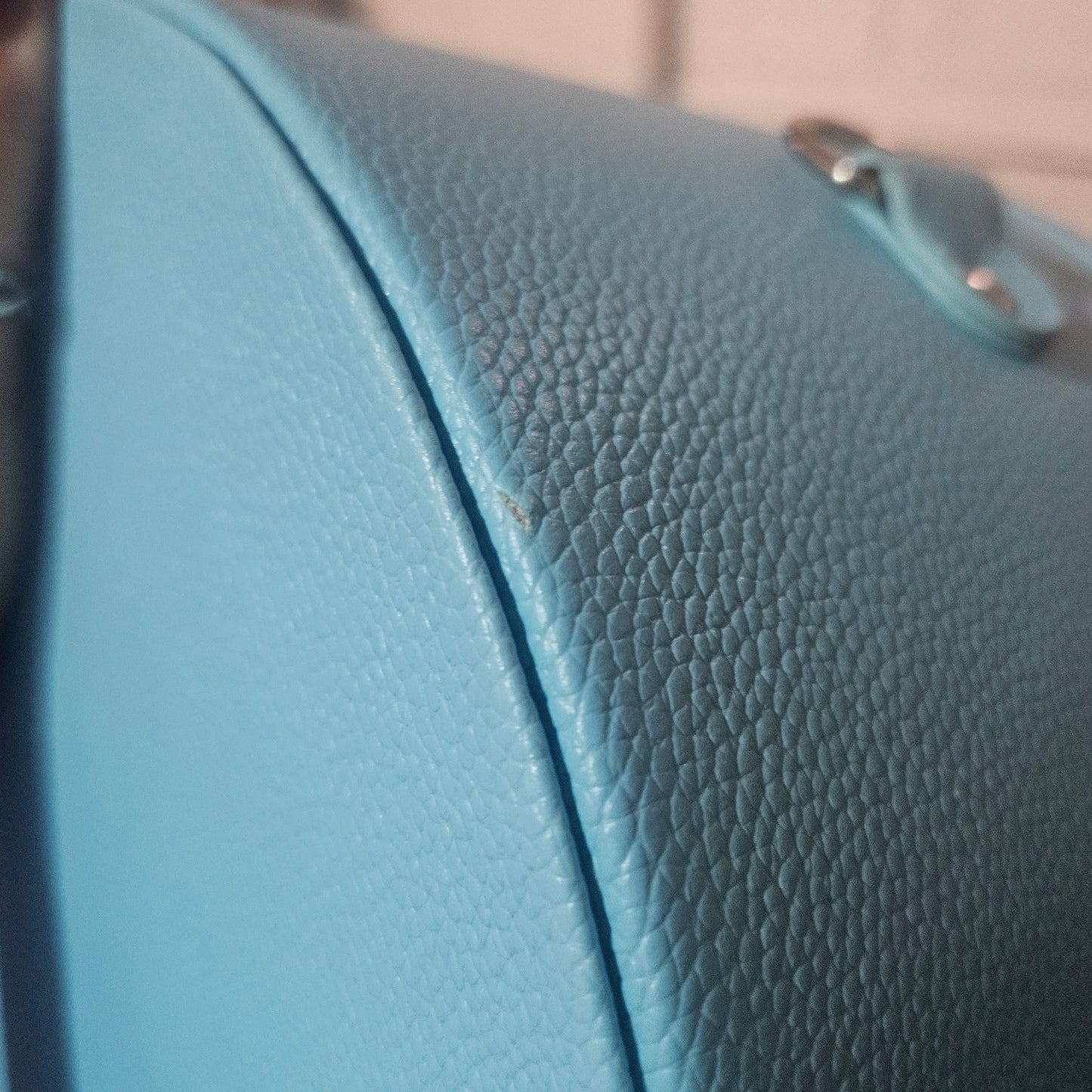 As Is Sample Sisters CollectEar Ear Carrier Travel Case