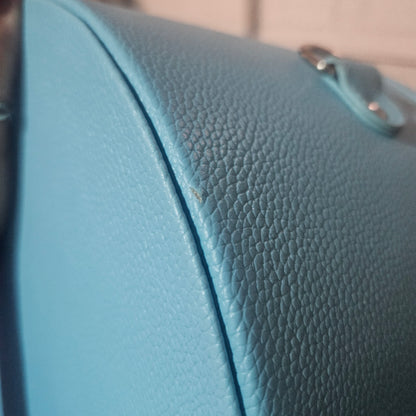 As Is Sample Sisters CollectEar Ear Carrier Travel Case